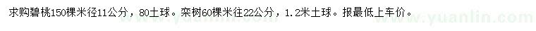 求购米径11公分碧桃、米径22公分栾树