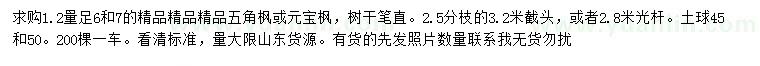 求购1.2量足6、7公分五角枫或元宝枫