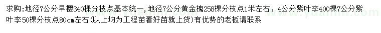 求购早樱、黄金槐、紫叶李