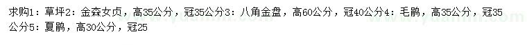 求购草坪、金森女贞、八角金盘等