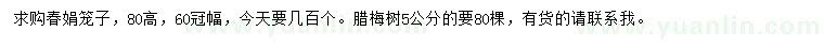 求购高80公分春娟笼子、5公分腊梅