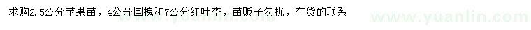 求购苹果苗、国槐、红叶李