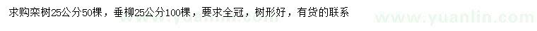 求购25公分栾树、垂柳