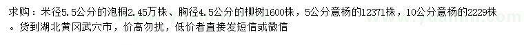 求购泡桐、柳树、意杨