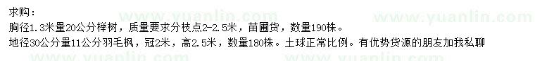 求购胸径1.3米量20公分榉树、地径30公分量11公分羽毛枫