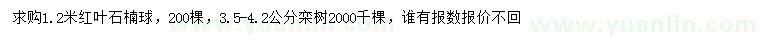 求购1.2米红叶石楠球、3.5-4.2公分栾树