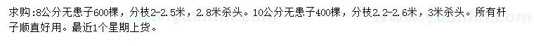 求购8、10公分无患子