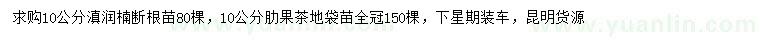 求购10公分滇润楠、肋果茶