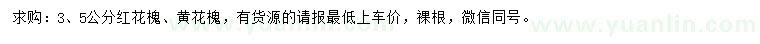 求购3、5公分红花槐、黄花槐