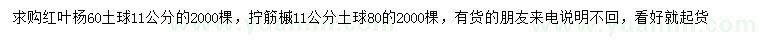 求购11公分红叶杨、拧筋槭