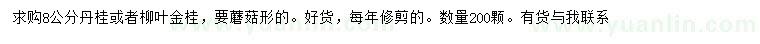 求购8公分丹桂、柳叶金桂