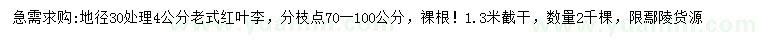 求购30量4公分红叶李