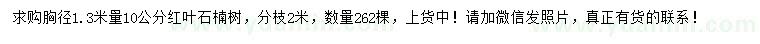 求购1.3米量10公分红叶石楠