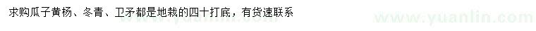 求购瓜子黄杨、冬青、卫矛