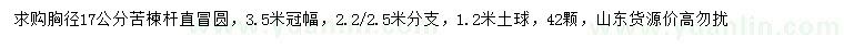 求购胸径17公分苦楝