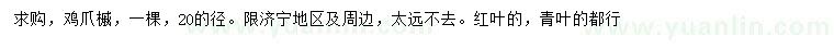 求购20公分鸡爪槭