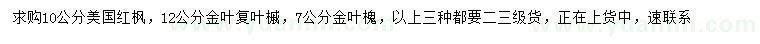 求购美国红枫、金叶复叶槭、金叶槐