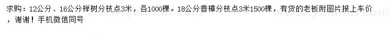 求购12、16公分榉树、18公分香樟