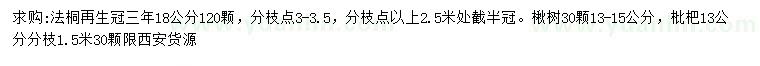 求购法桐、楸树、枇杷树