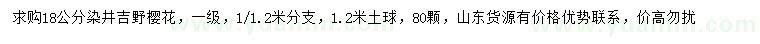 求购18公分染井吉野樱花