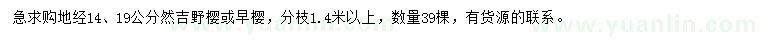 求购地径14、19公分染井吉野樱或早樱