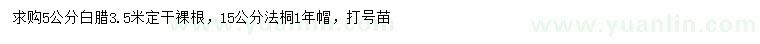 求购5公分白蜡、15公分法桐