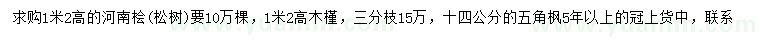 求购高1.2米河南桧、木槿