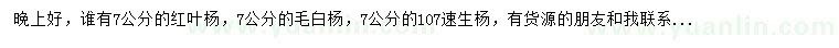 求购红叶杨、毛白杨、107速生杨