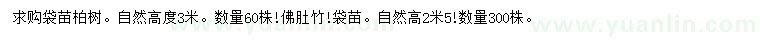 求购高3米柏树、高2.5米佛肚竹