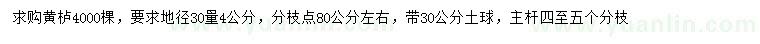 求购地径30量4公分黄栌