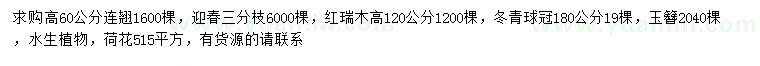 求购连翘、迎春、红瑞木等