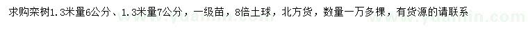 求购1.3米量6、7公分栾树