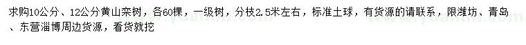 求购10、12公分黄山栾树