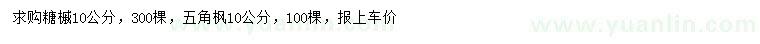 求购10公分糖槭、五角枫