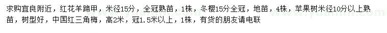 求购红花羊蹄甲、冬樱、苹果树等