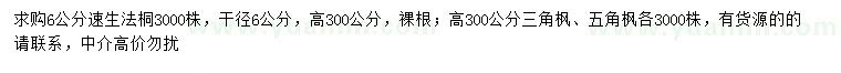 求购速生法桐、三角枫、五角枫