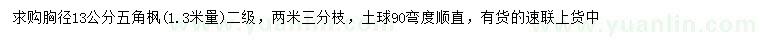 求购1.3米量13公分五角枫