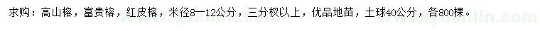 求购高山榕、富贵榕、红皮榕