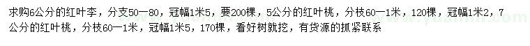 求购6公分红叶李、5公分红叶桃