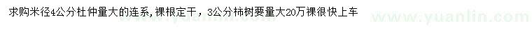 求购米径4公分杜仲、3公分柿树