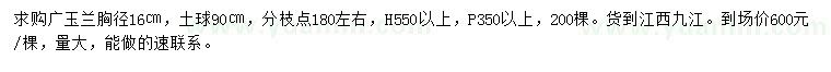 求购胸径16公分广玉兰