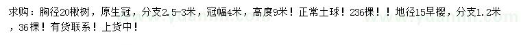 求购胸径20公分楸树、地径15公分早樱