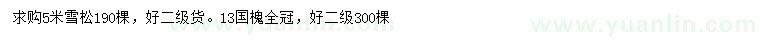 求购5米雪松、13公分国槐