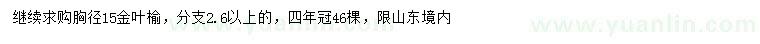 求购胸径15公分金叶榆