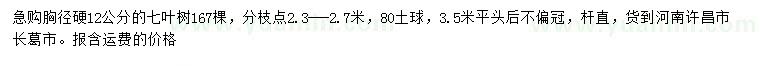 求购胸径12公分七叶树