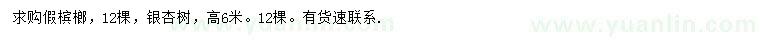 求购假槟榔、高6米银杏