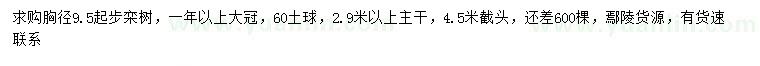 求购胸径9.5公分以上栾树