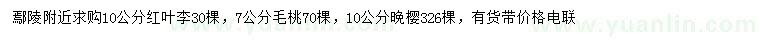 求购红叶李、毛桃、晚樱