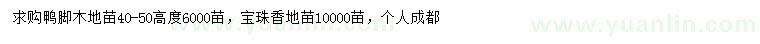 求购高40-50公分鸭脚木、50-60公分宝珠香