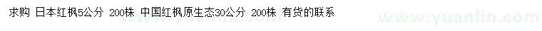 求购5公分日本红枫、30公分中国红枫